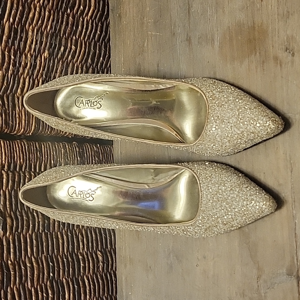 Carlos By Carlos Santana Posy Pointed Toe Pump, G… - image 1